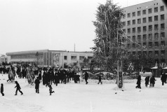 №29