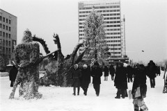№31