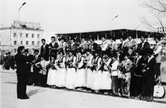 №13