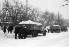 №26