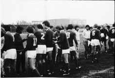 №13