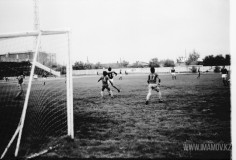 №19