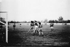 №23