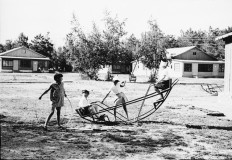 №15