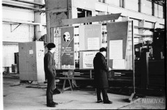 №11