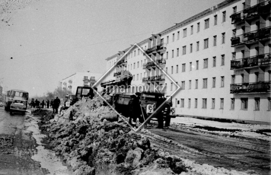 №11