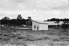 №20