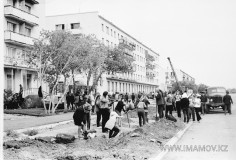 №12