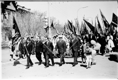 №11
