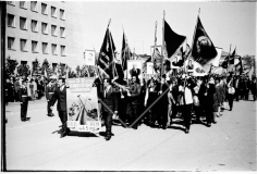 №20