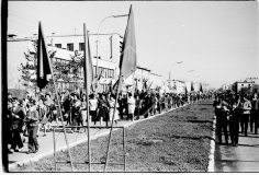 №24