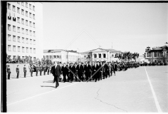 №31