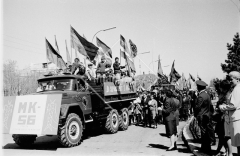 №33