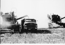 №04