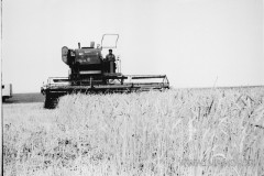 №08