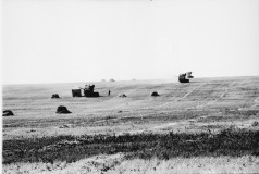 №11