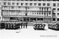 №11