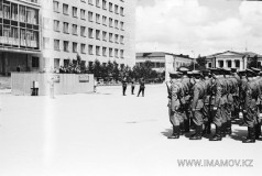 №13