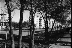 №11