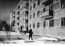 №12