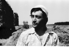 №01