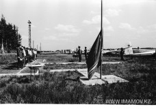 №06