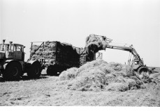 №15