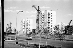 №06