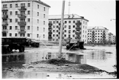 №10