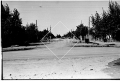 №13