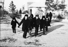 №13