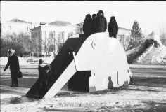 №15