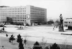 №16