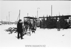 №02