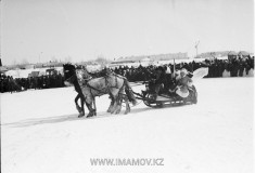 №19