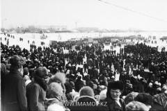 №26