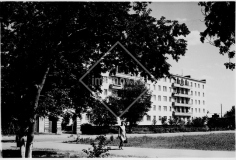 №19