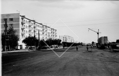 №25