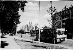 №29