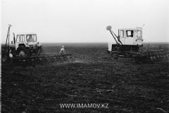 №11