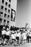 №19