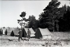 №11