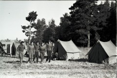№12