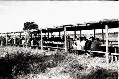 №15