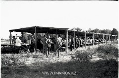№16