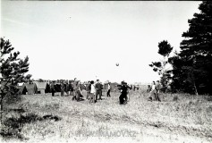 №18