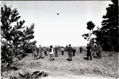 №19
