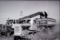 №12