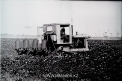 №19