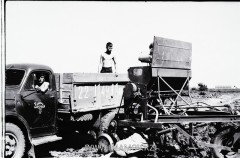 №33